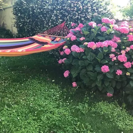 Nocleg ze śniadaniem Lilly's